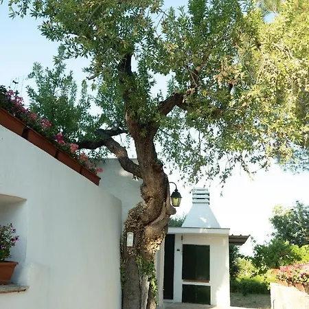 Trullo Bianco Tatil Evi