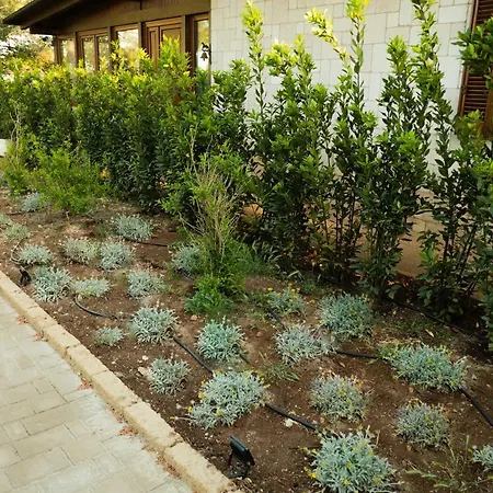Trullo Bianco Holiday home
