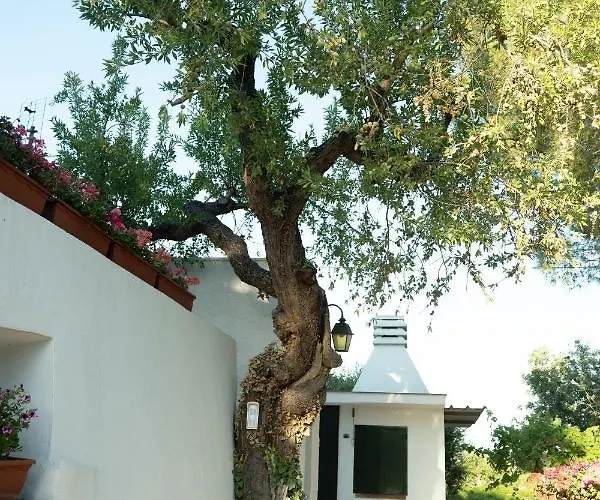 Trullo Bianco בית נופש